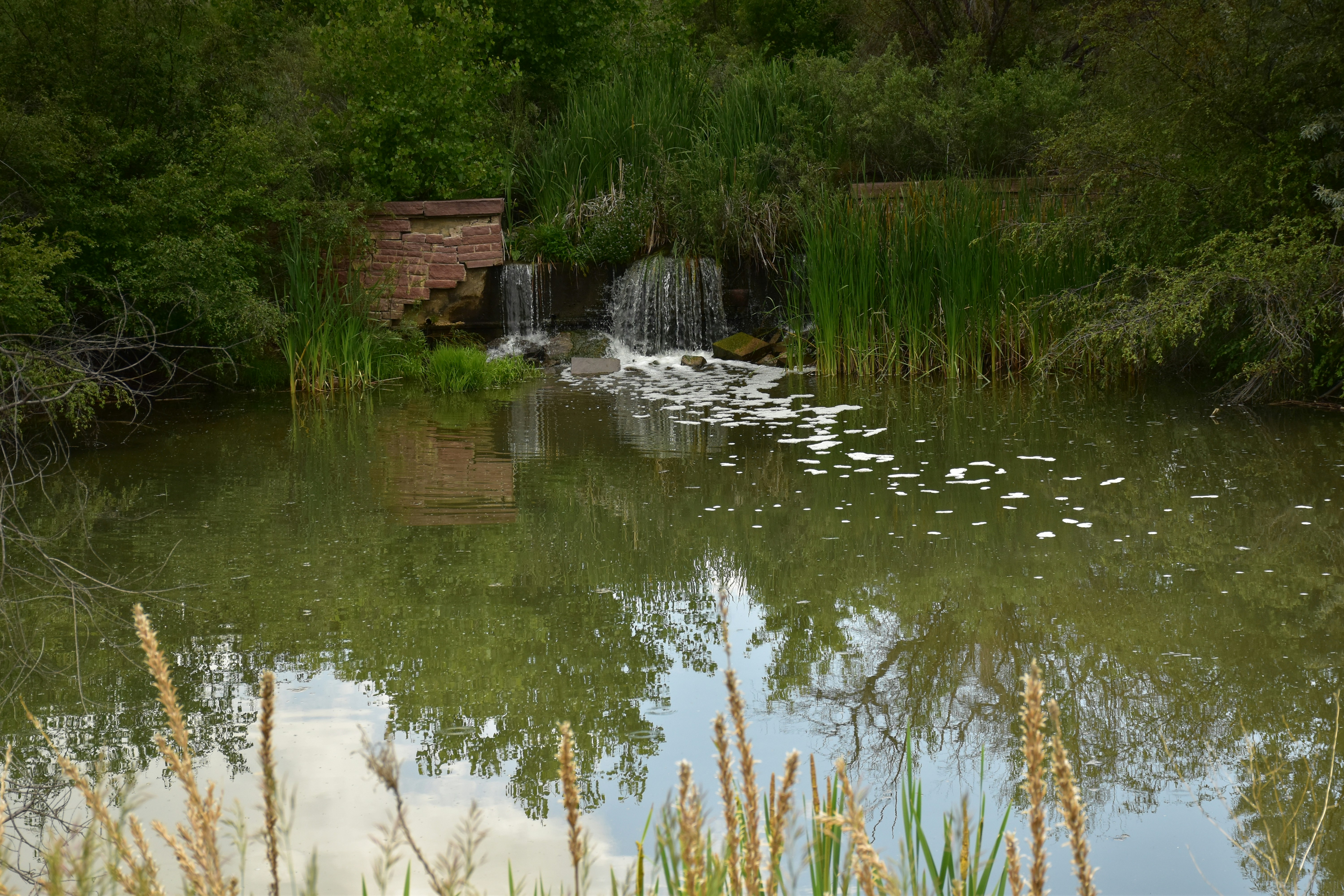 Beginner Waterfall Design Tips