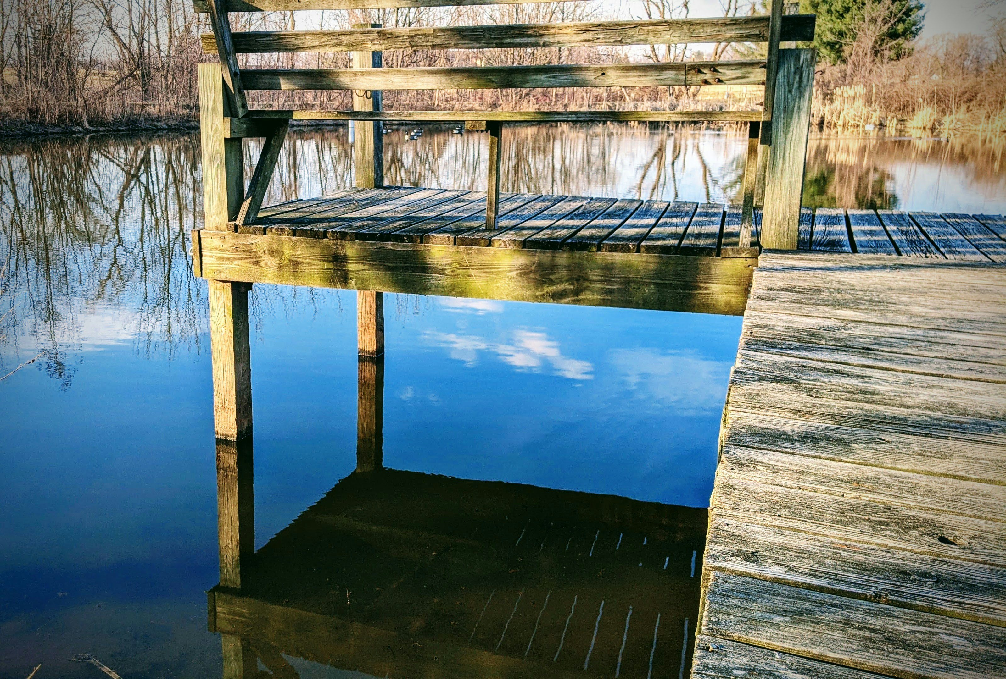 Summer Pond Care: The Essential Checklist