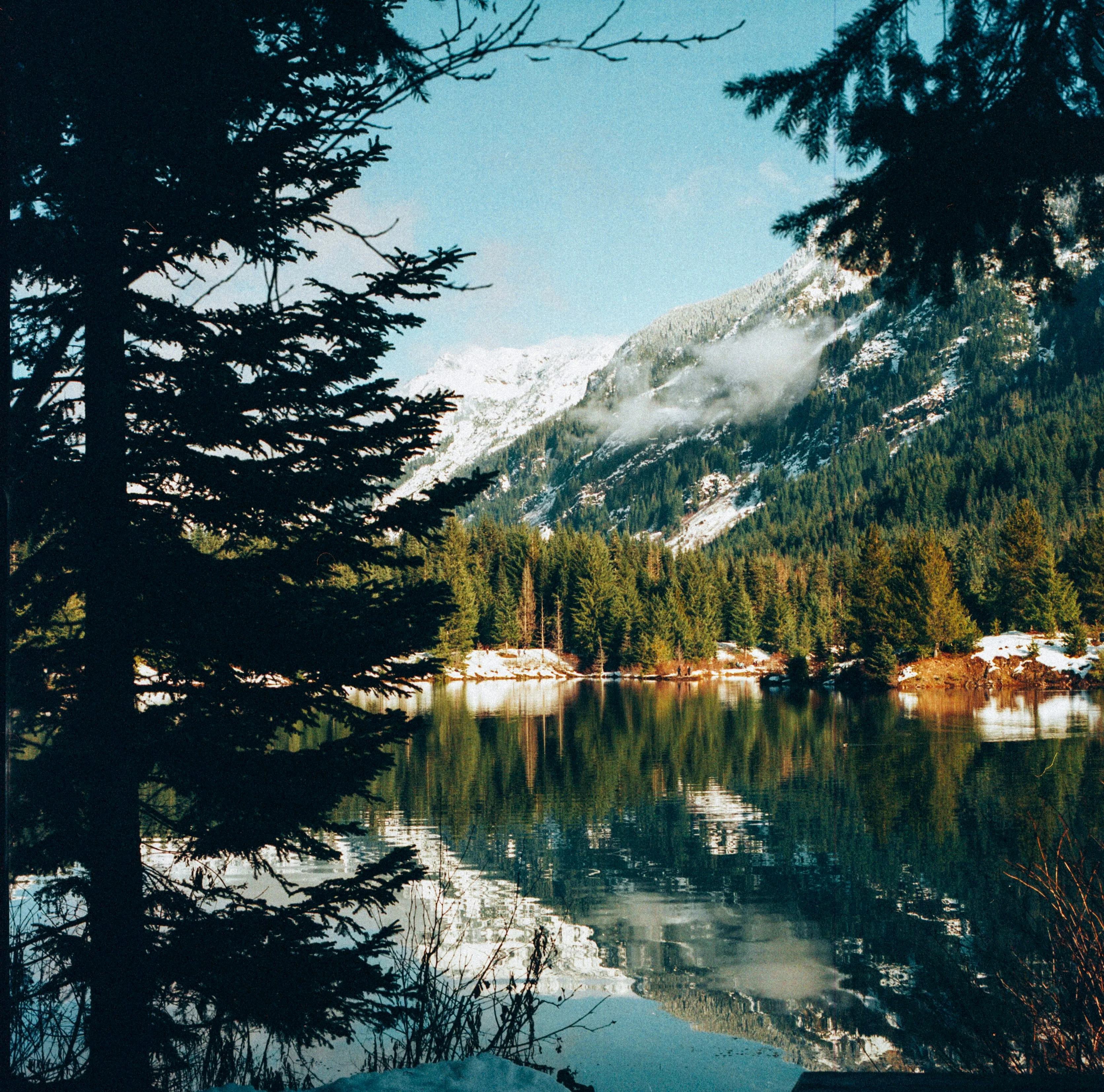 Autumn Pond Prep: Leaves, Fish, and Filters