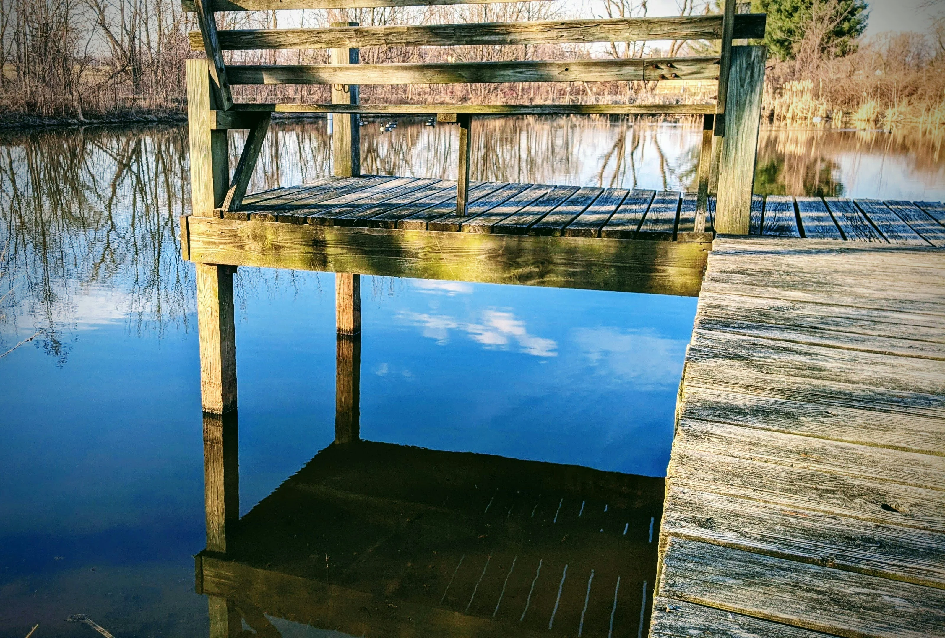 Choosing the Best Koi Pond Location in Austin Homes