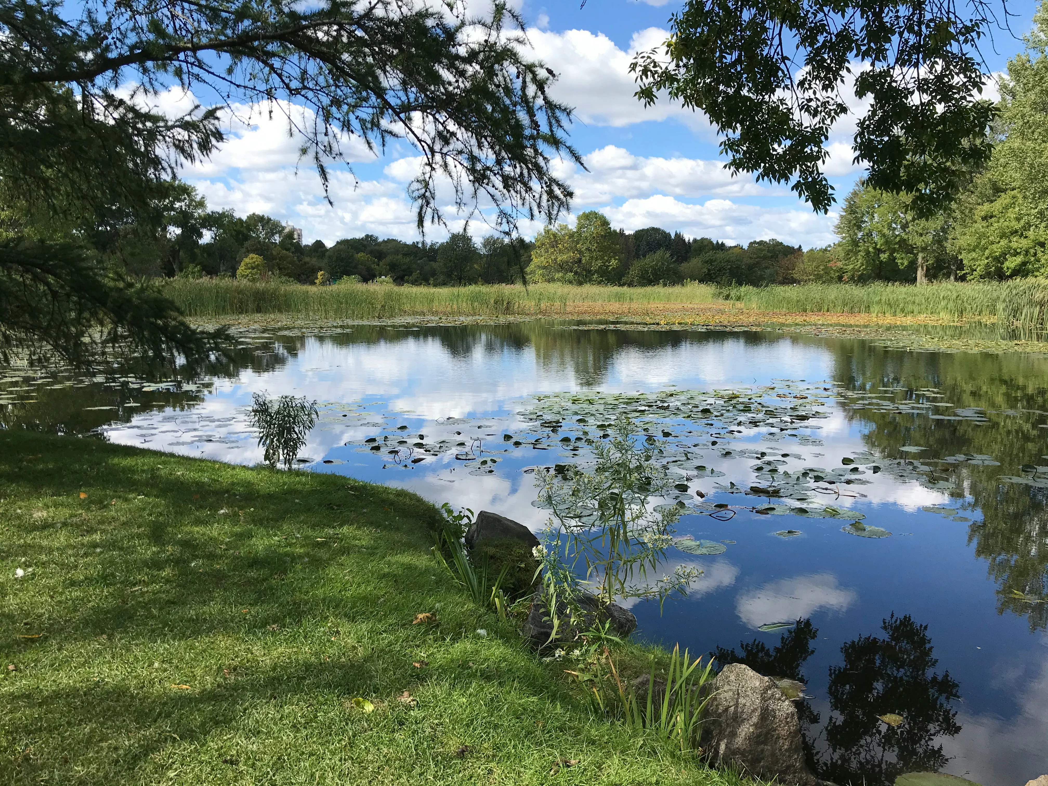 Eco-Friendly Pond Tips