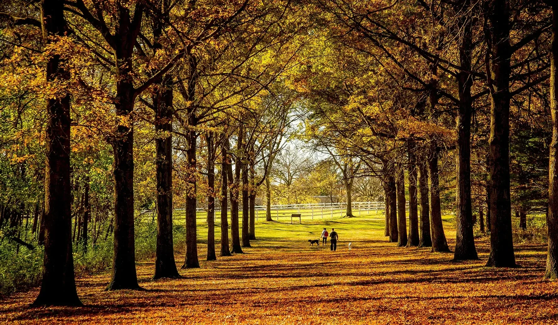 Bowlero Buffalo Grove, IL: The Ultimate Bowling and Arcade Experience for All Ages