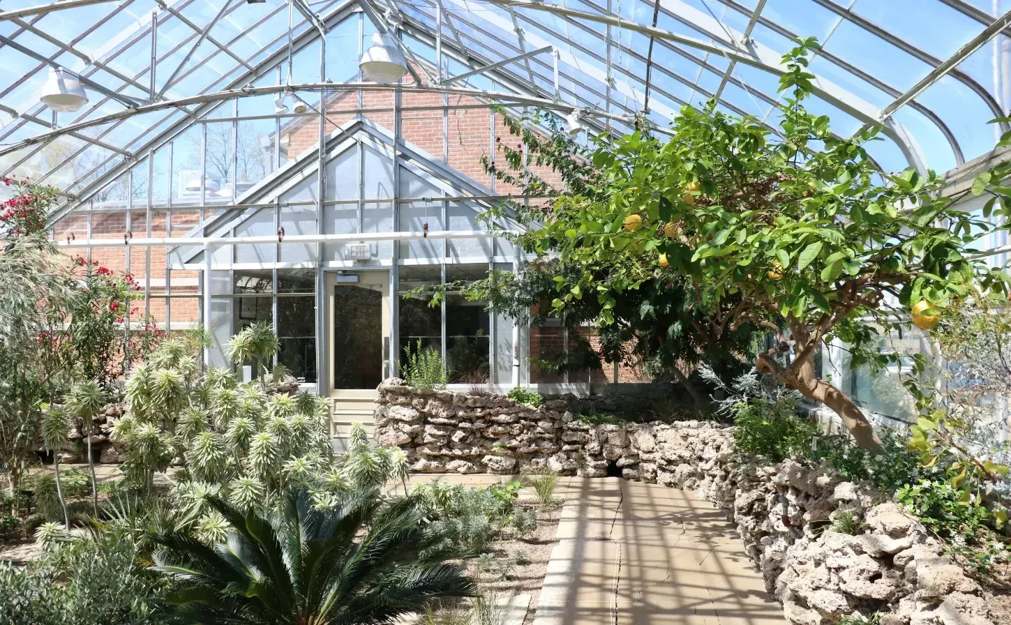 Catch the Latest Blockbusters at Classic Cinemas La Grange XQ in La Grange, IL – Your Perfect Movie Night Spot