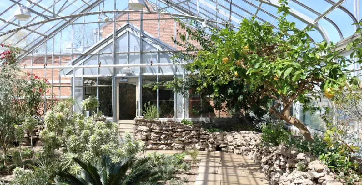 Celebrating Heritage at the Irish American Heritage Center in Irving Park, IL