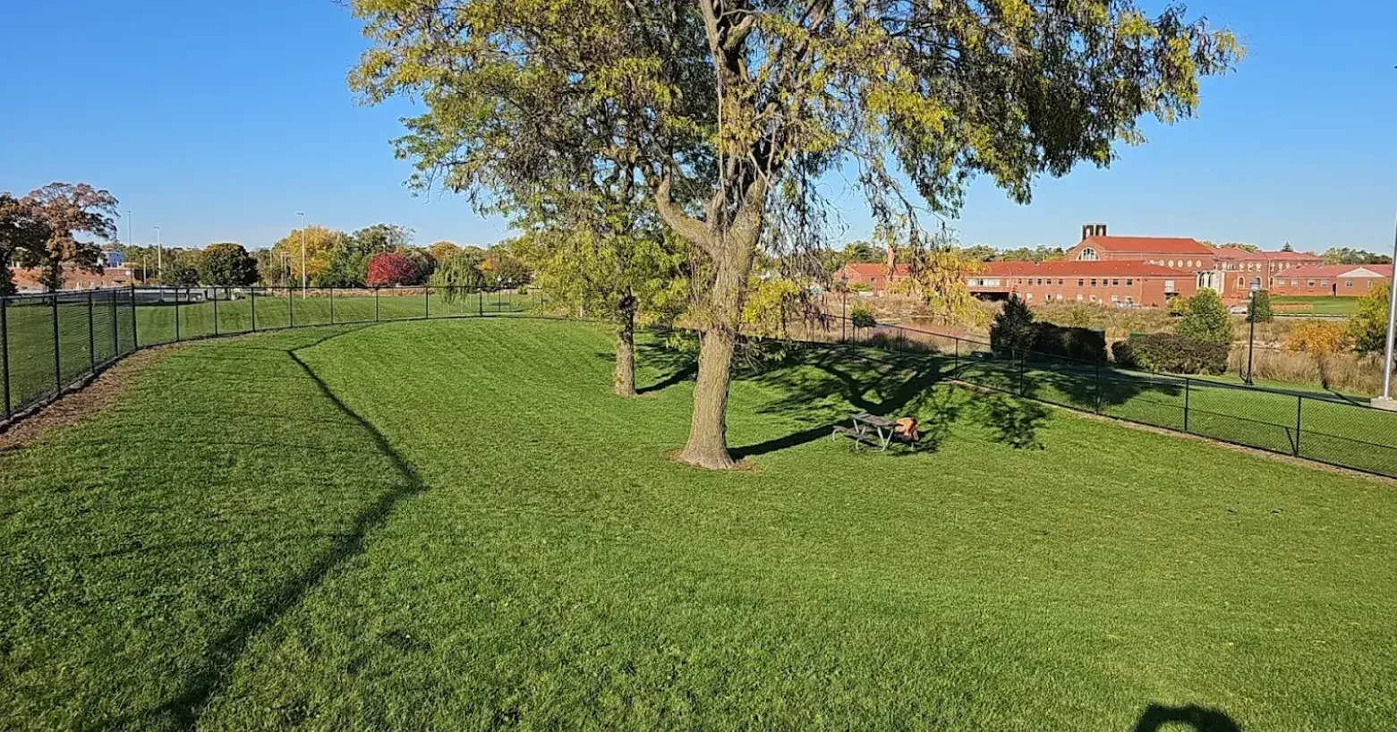 Common Car Lock Problems and How Auto Lock Repair in Wicker Park Chicago Can Help