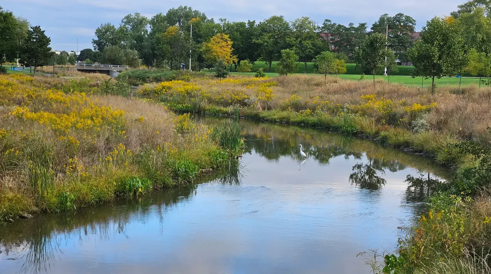 Common Lock Problems and How to Fix Them: Tips From a Secure Locks Locksmith