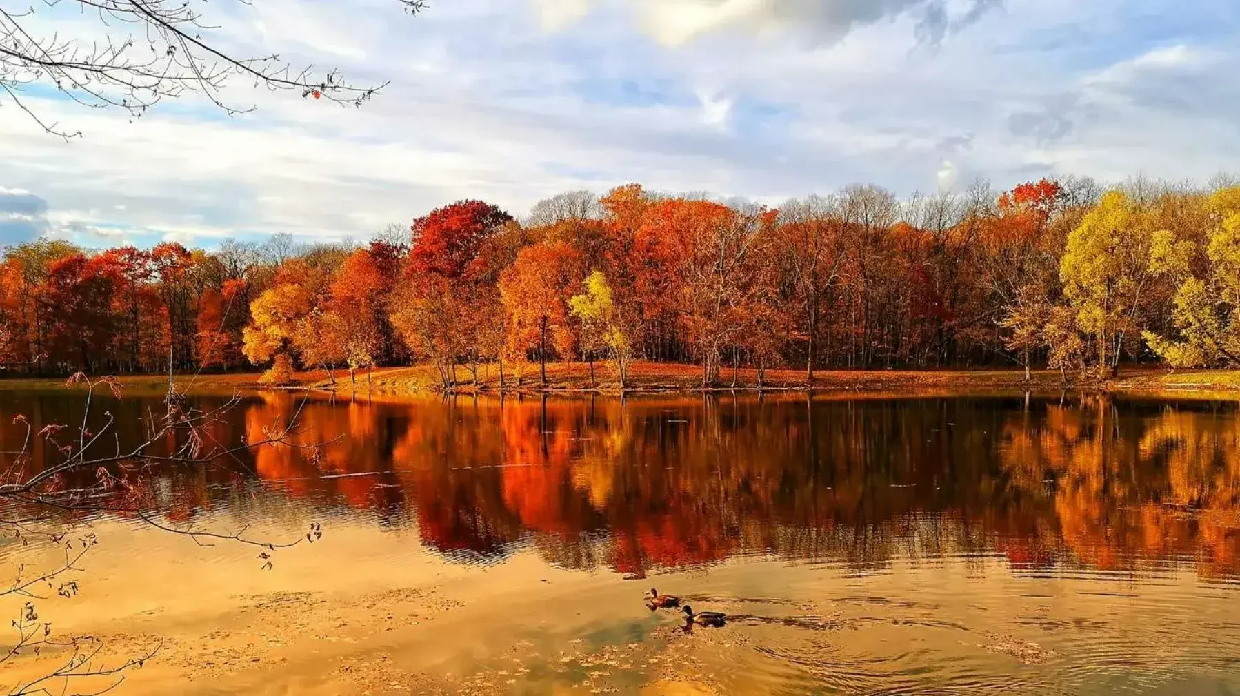 Convention Central: The Role of Donald E. Stephens Convention Center in Rosemont, IL's Business Hub