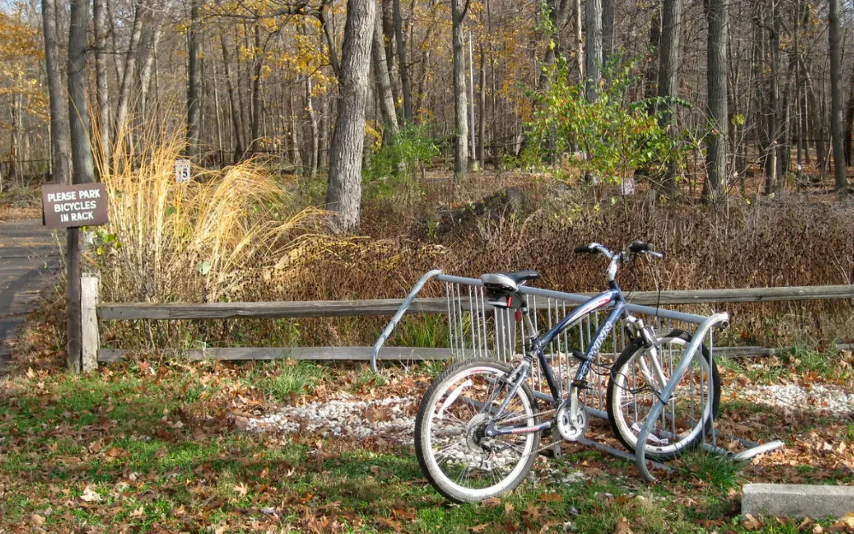 Cost-Effective Solutions for Traditional Car Key Replacement by Secure Locks