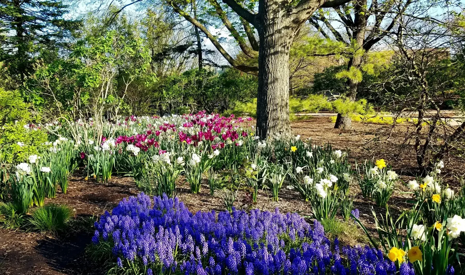 Discover Outdoor Fun at West Morton Park in Cicero, IL