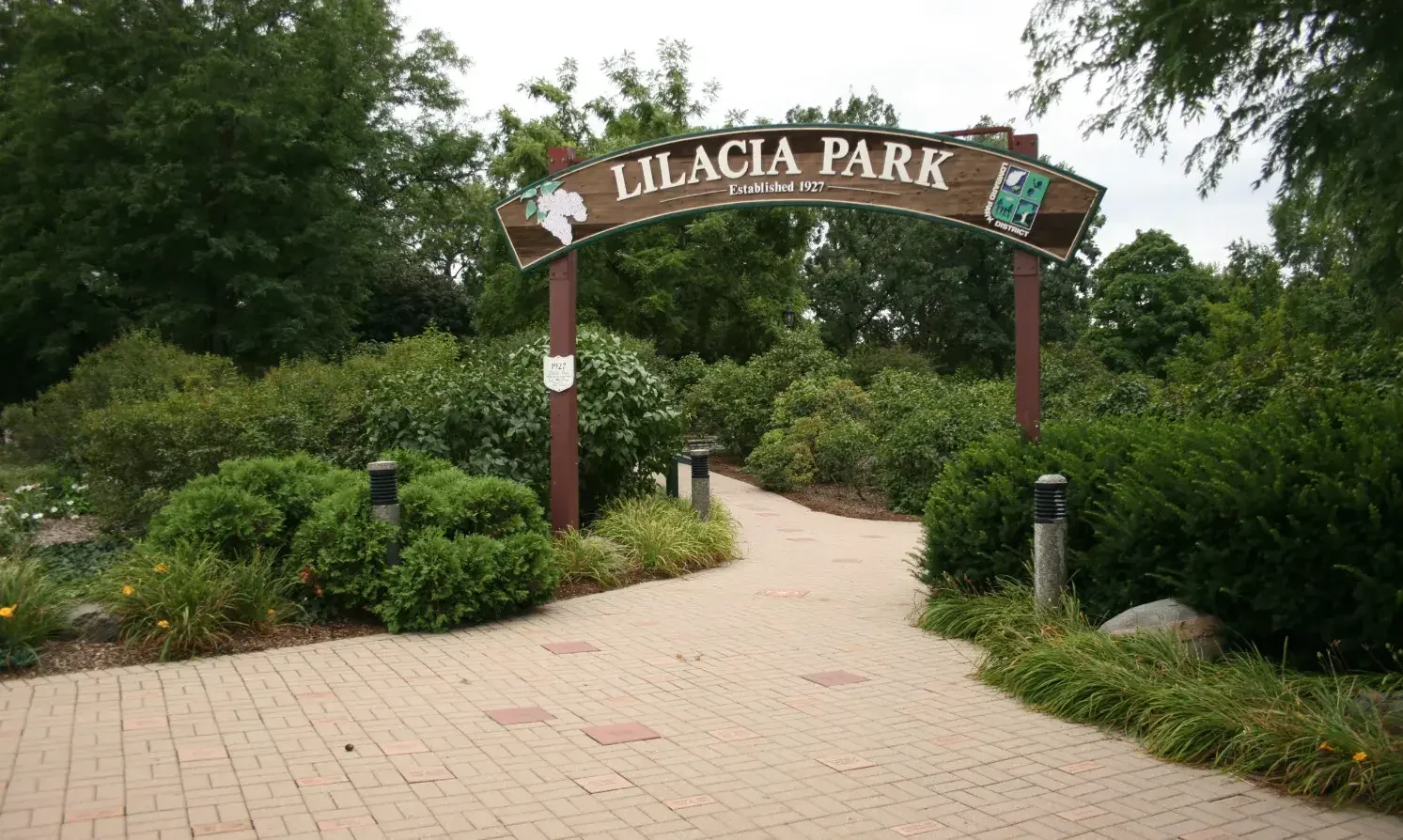 Discover Peace and Adventure at Raceway Woods Forest Preserve in Carpentersville, IL