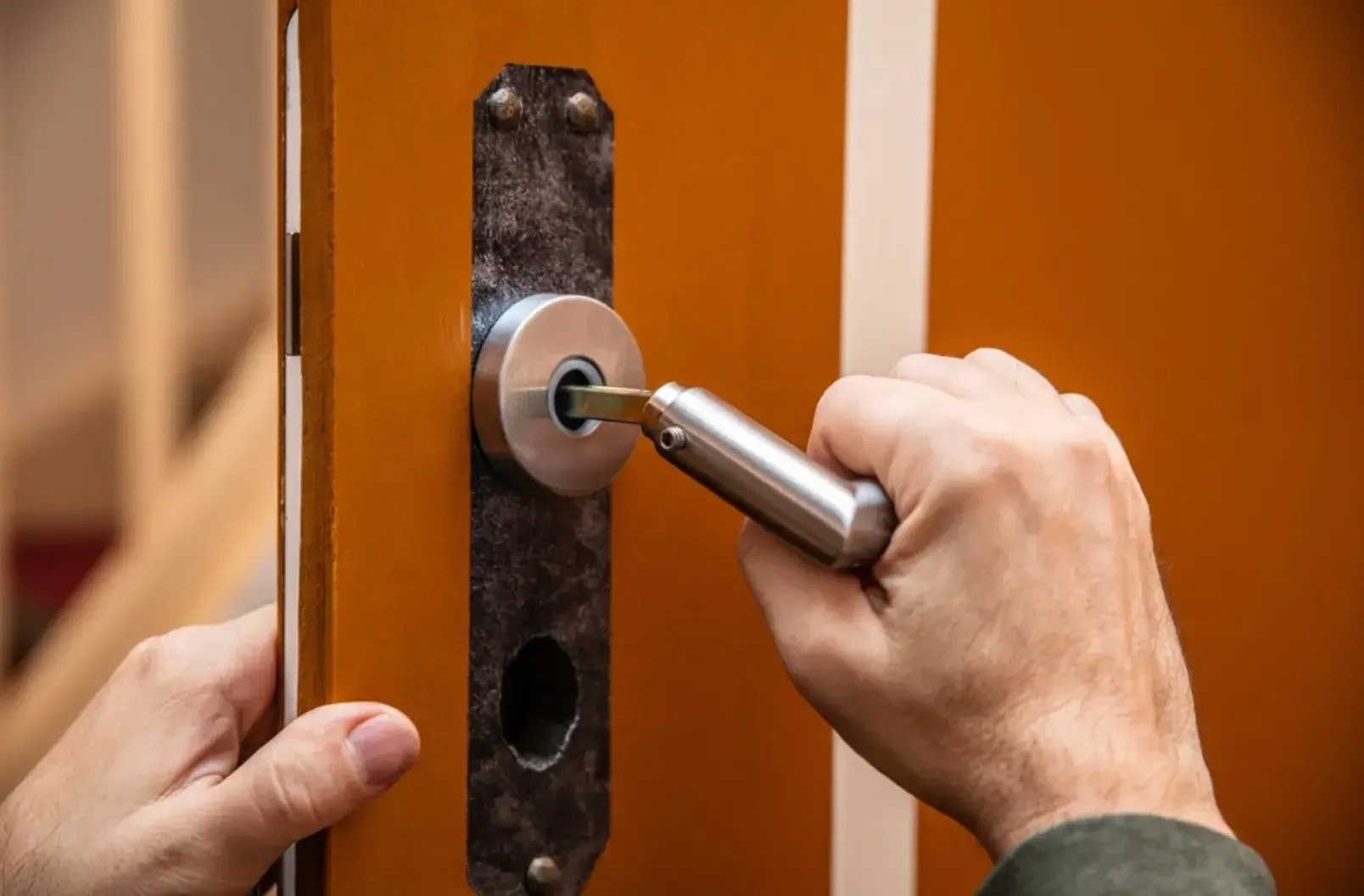 Dive Into Summer Fun at Sea Lion Aquatic Park in Lisle, IL – A Family Favorite