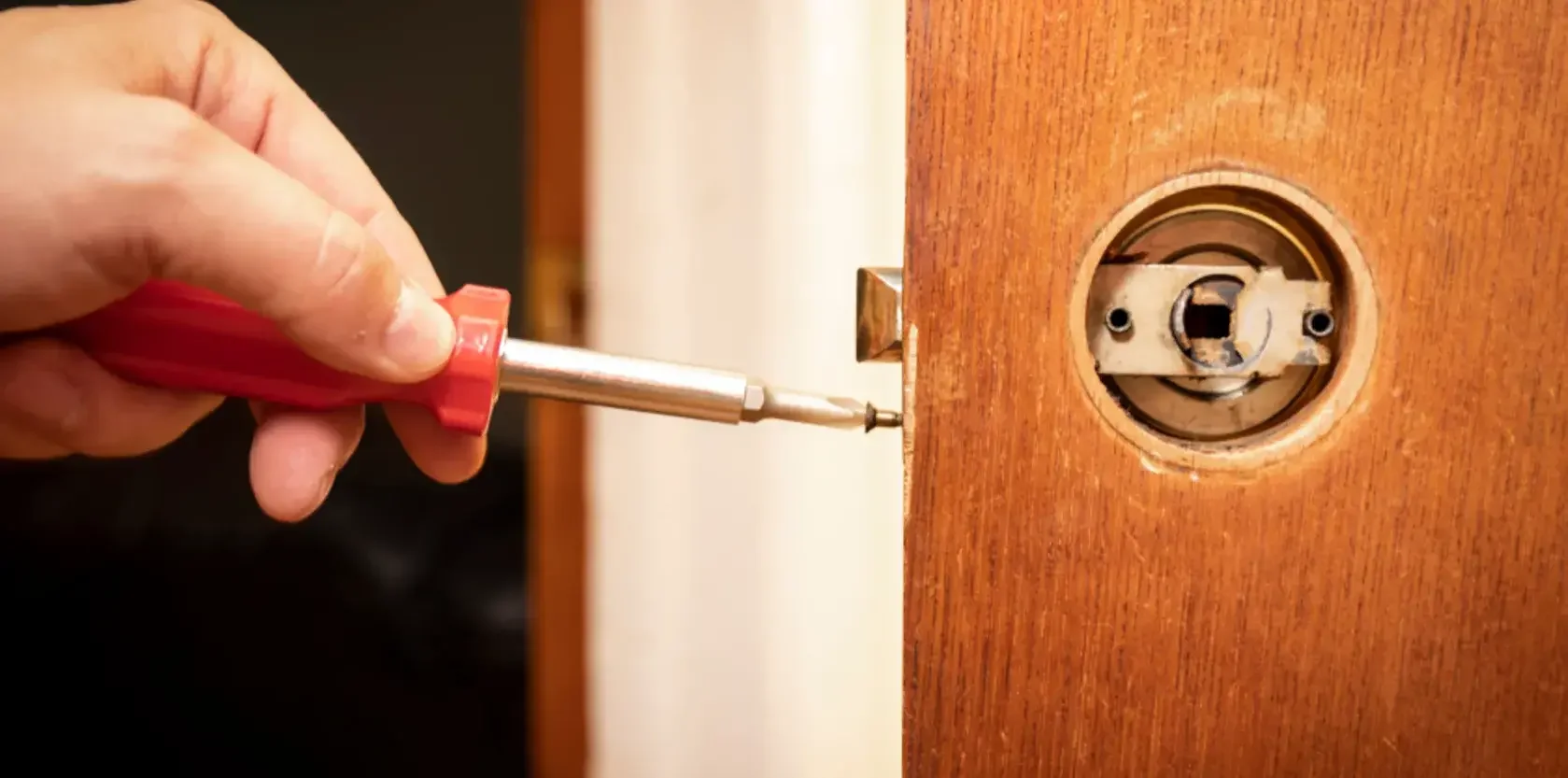 Dive Into the Wonders of Shedd Aquarium: Chicago'S Aquatic Marvel