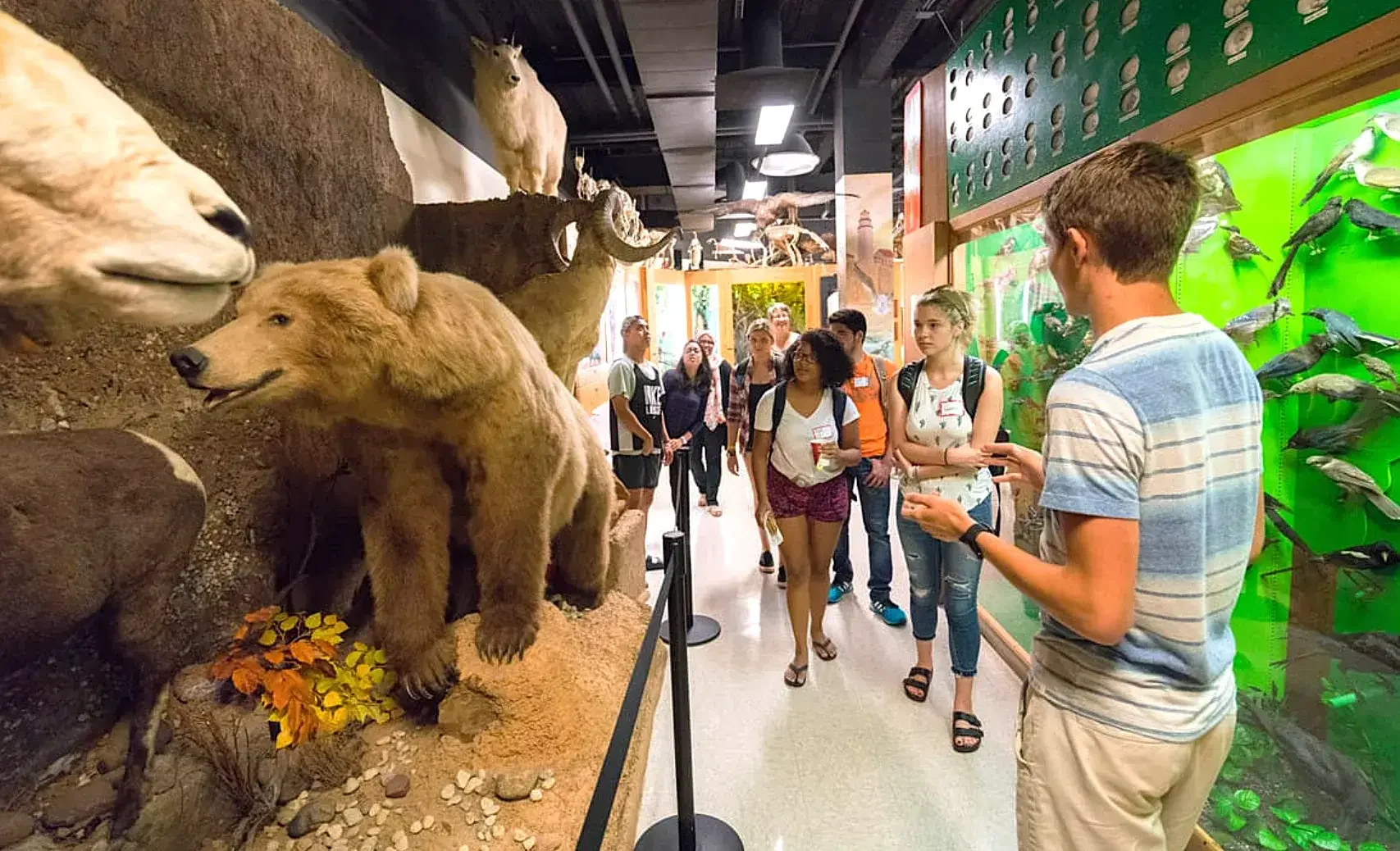 Experience Delicious Dishes at Mr Gee's in Hermosa, IL