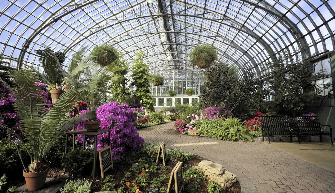 Experience Luxury and Leisure at The Glen Club: A Premier Destination in Arlington Heights, IL