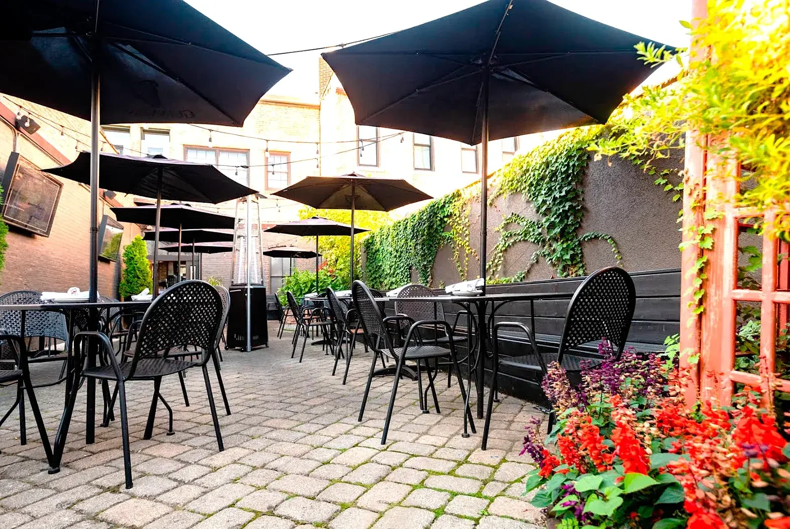 Explore a Green Oasis: Experience the Magic of Garfield Park Conservatory in Northlake, IL