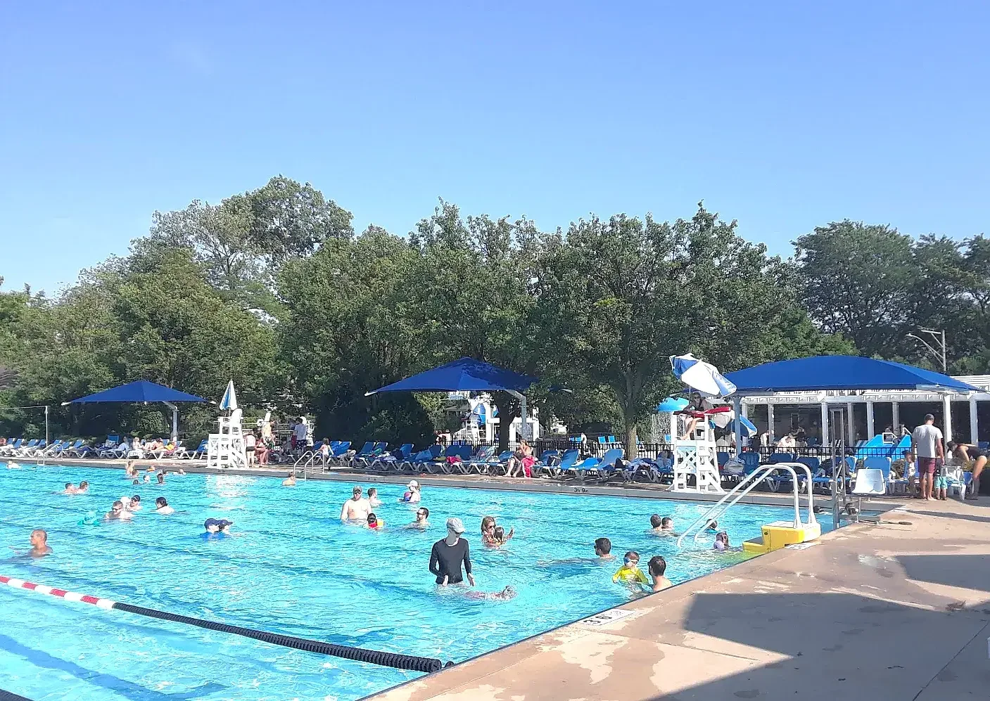 Exploring the Greenery: Irving Park, IL's Hidden Ge