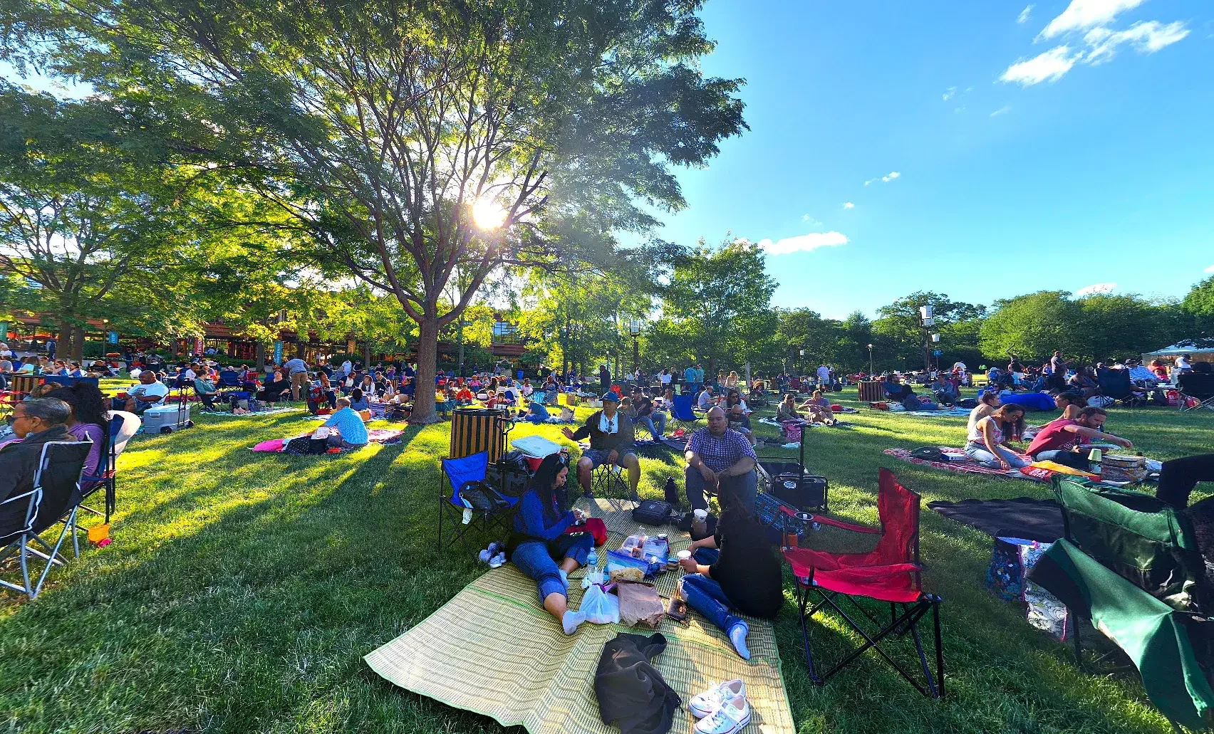 Exploring Together: The Best Family-Friendly Parks in Arcadia Terrace, IL