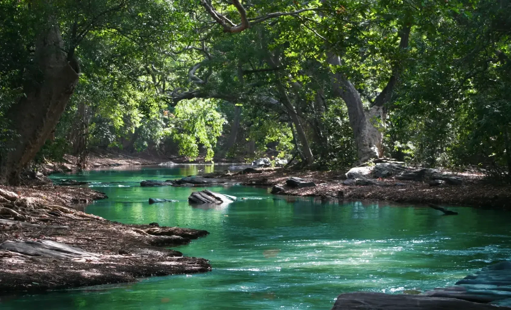 Fast and Reliable: How Car Key Replacement Services Save the Day