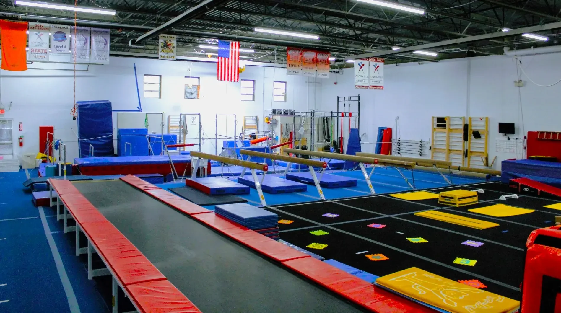 Fun for Furry Friends Exploring Northlake Dog Park in Northlake IL