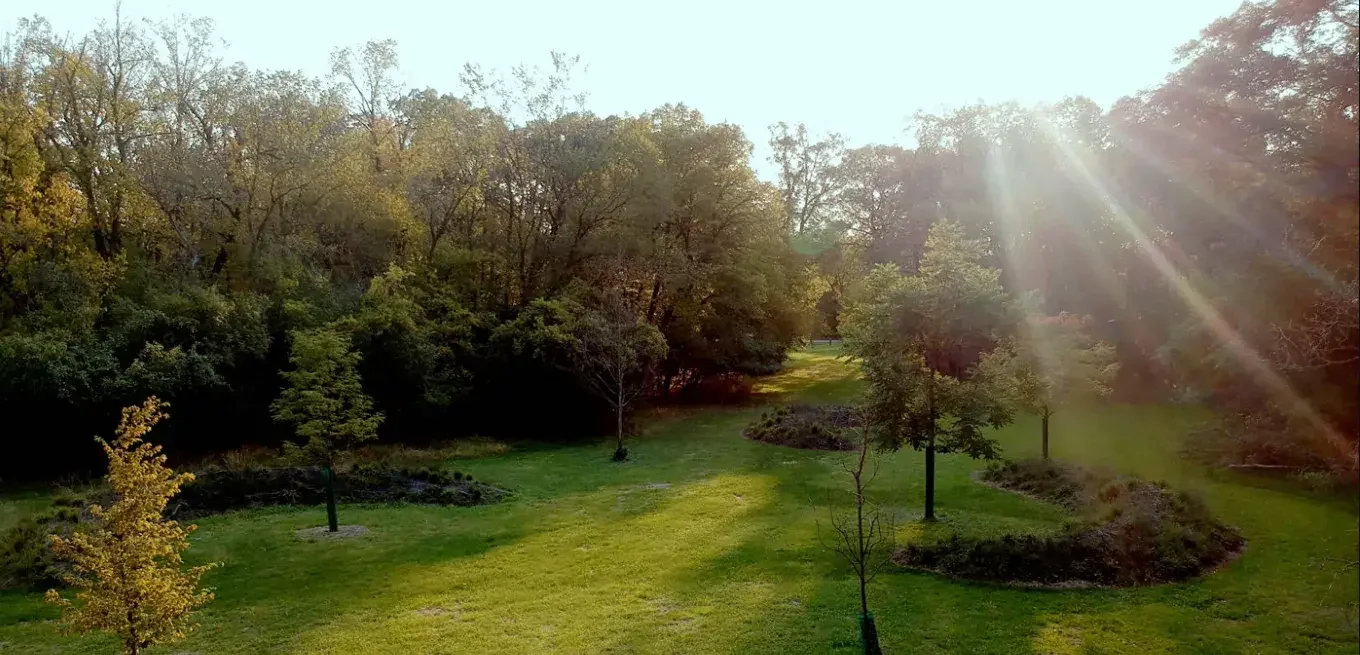 How Car Locksmiths Can Safely Unlock Your Vehicle Without Damage