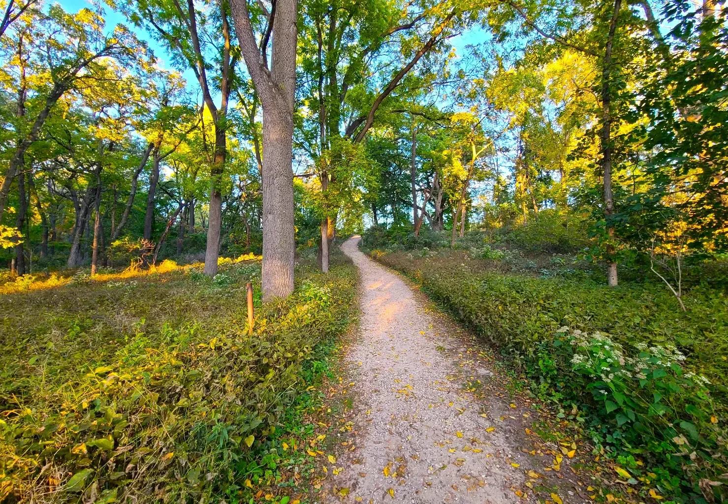 How to Replace Your Car Key Without the Original