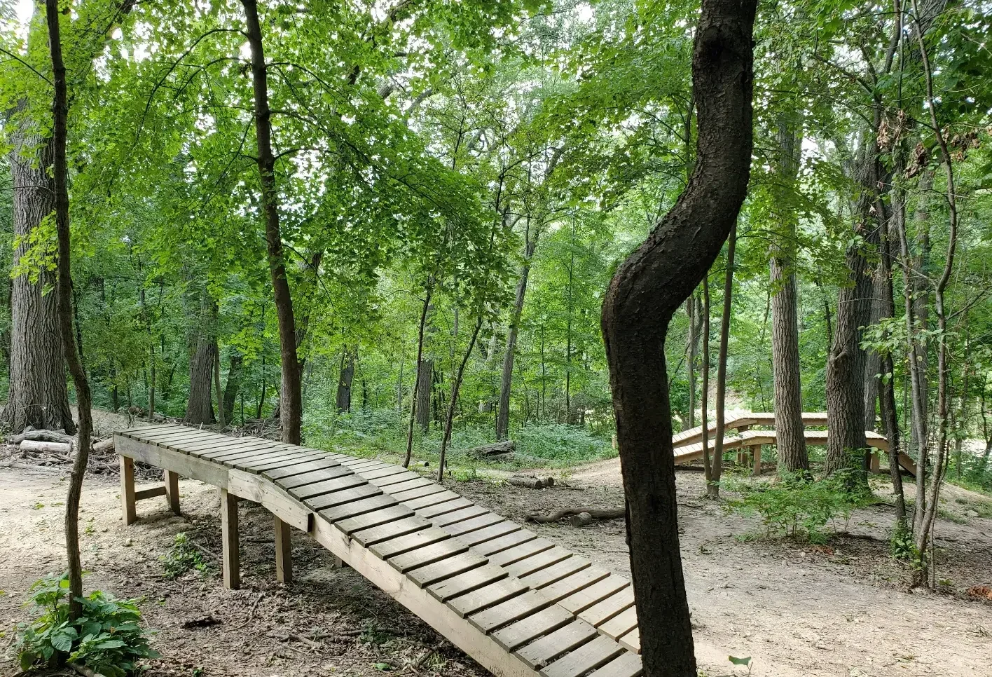 Let Your Kids Play and Learn at Hamill Family Play Zoo in Brookfield, IL