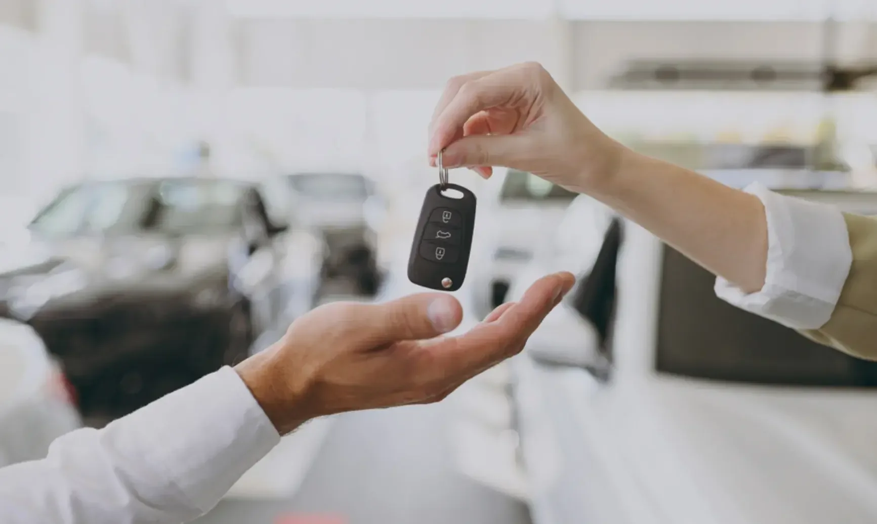 Oak Park Conservatory: A Botanical Haven in the Heart of Oak Park, IL