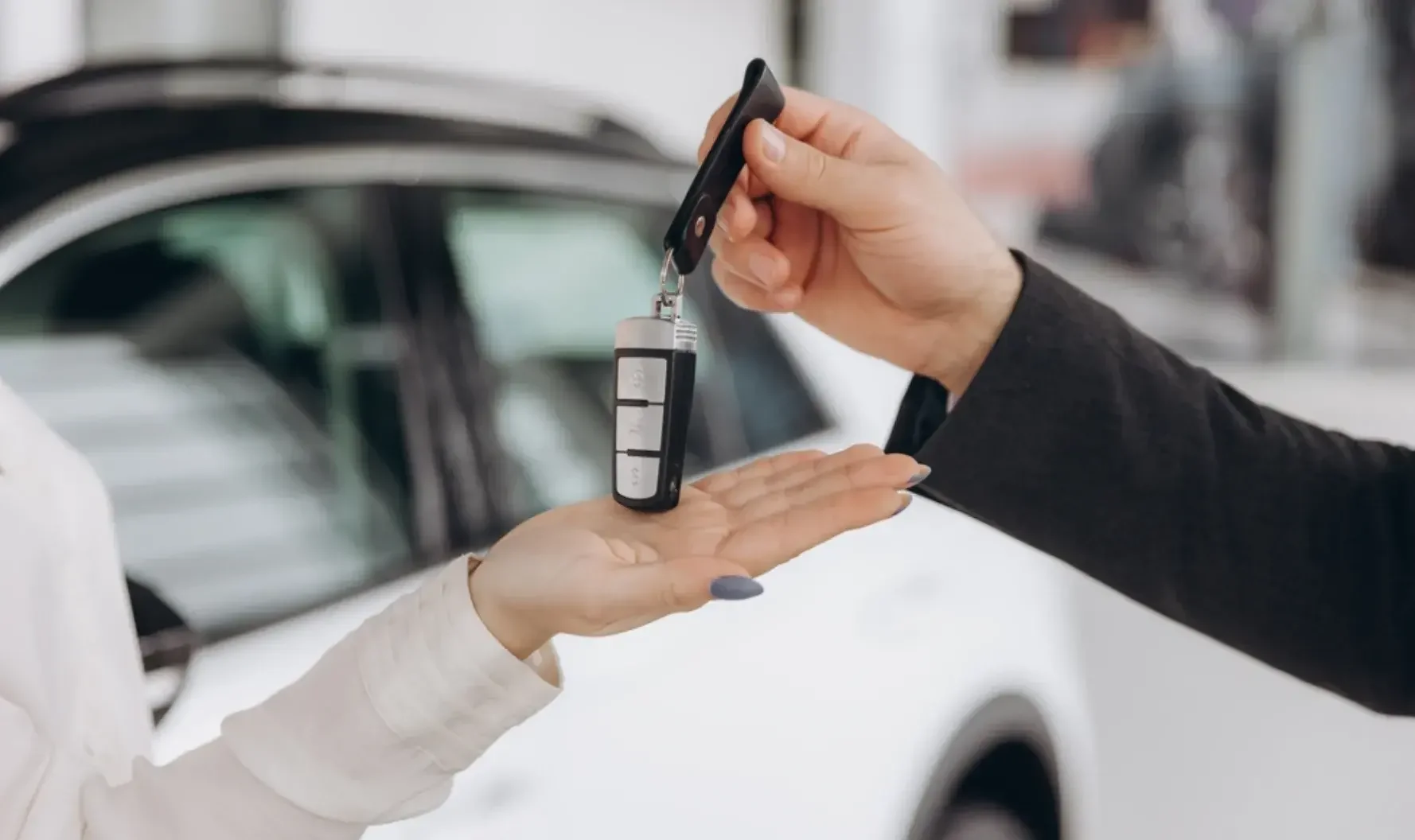 Picnics and Playtime: A Family Guide to Ellis Park in Bronzeville, IL