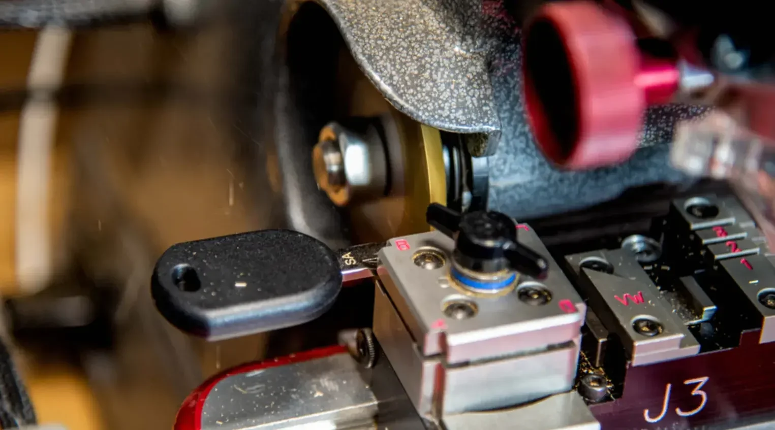 Reconnect with Nature at Meacham Grove Forest Preserve in Bloomingdale, IL