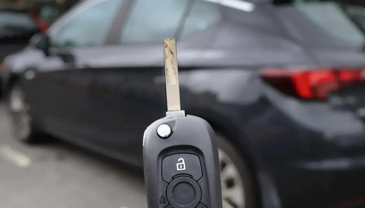 Reconnect with Nature at Prairie Wolf Forest Preserve in Highland Park, IL