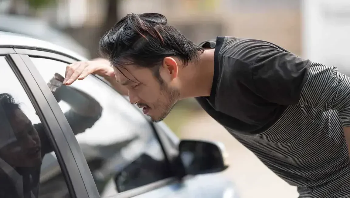 Relax and Reconnect with Nature at Diane Main Park in Westmont, IL