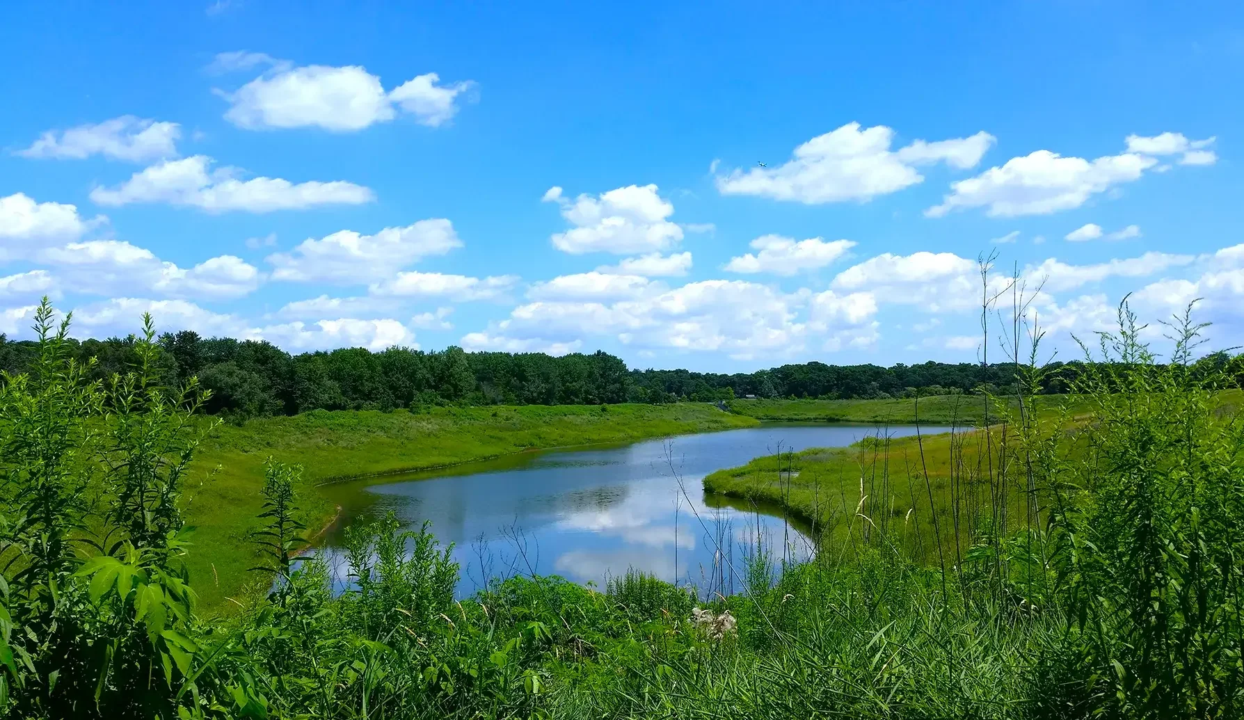 Six Corners: Discover the Heartbeat of Portage Park, IL