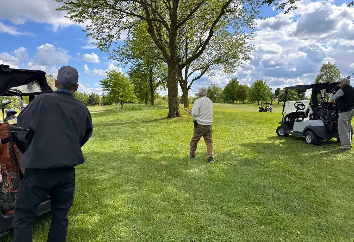 Street Art Stroll: Discovering the Vibrant Murals of Hermosa, IL With the Family
