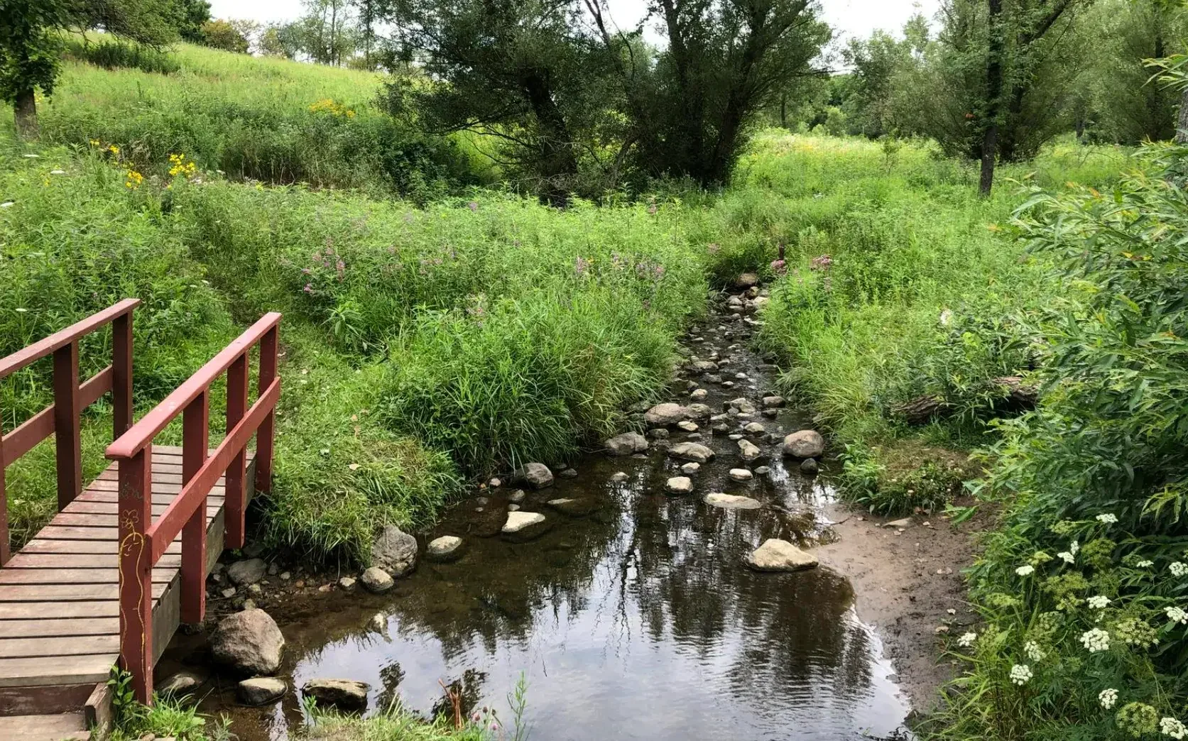 The Digital Shift in Chicago: How Locksmiths are Embracing Keyless Solutions