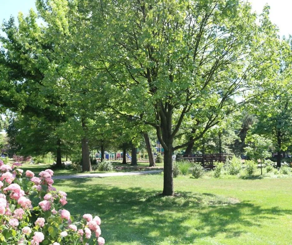 Top Activities for Kids and Families at Enchanted Castle in Lombard, IL