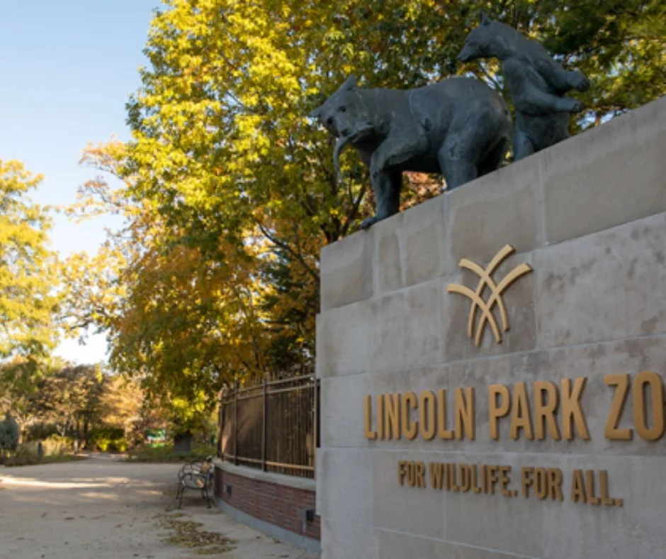 What to Look for When Choosing a Locksmith?