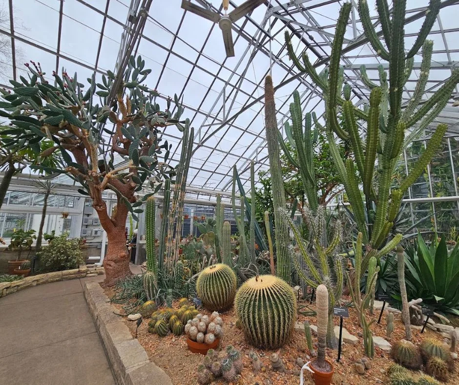 Why Some Car Keys Are More Expensive to Replace Than Others in Chicago, IL – Insights from Secure Locks