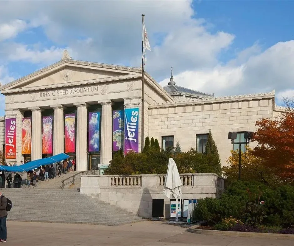 Why You Should Know the Difference Between Traditional and Smart Car Keys