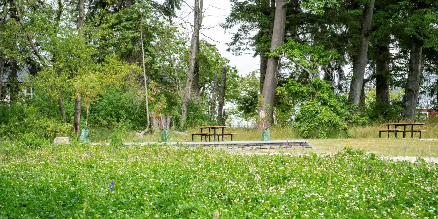 A Comprehensive Guide to Choosing and Installing the Perfect Metal Driveway Gates for Your Home