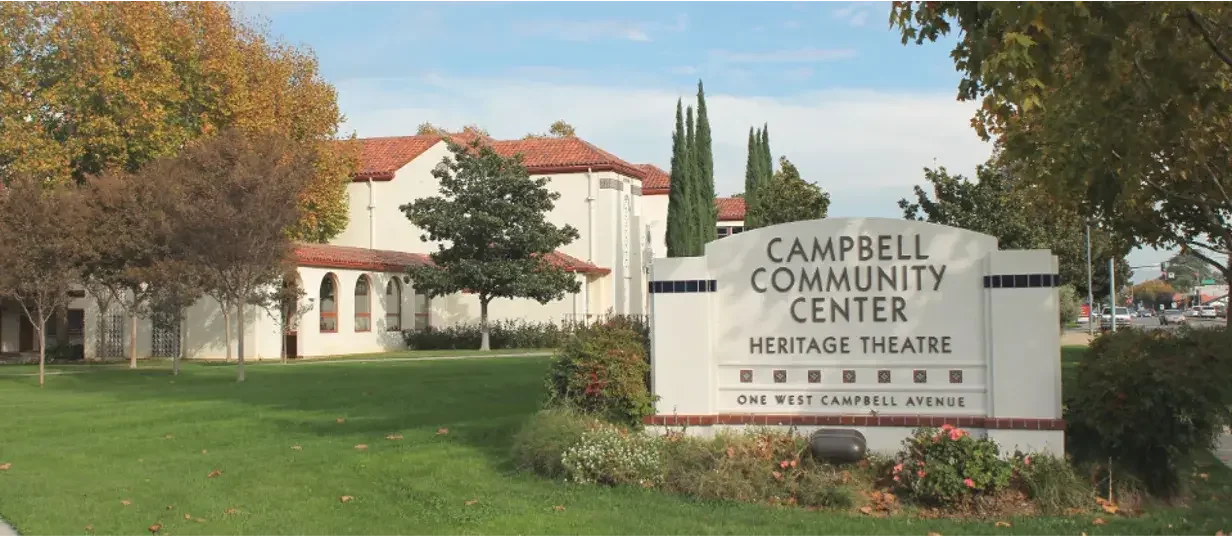 Automatic Driveway Gates: The Ultimate Convenience and Security for Modern Homes