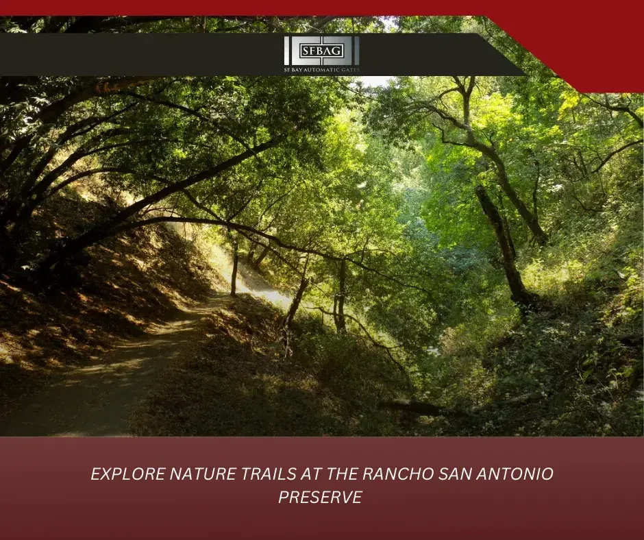 Behind The Gate: Sf Bay In San Jose, Ca'S Secrets To Long-Lasting Repairs