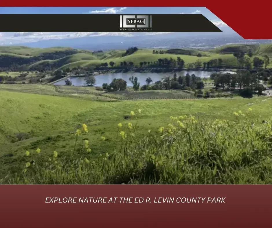 The Best Reasons to Hire a Professional for Automatic Gate Repair