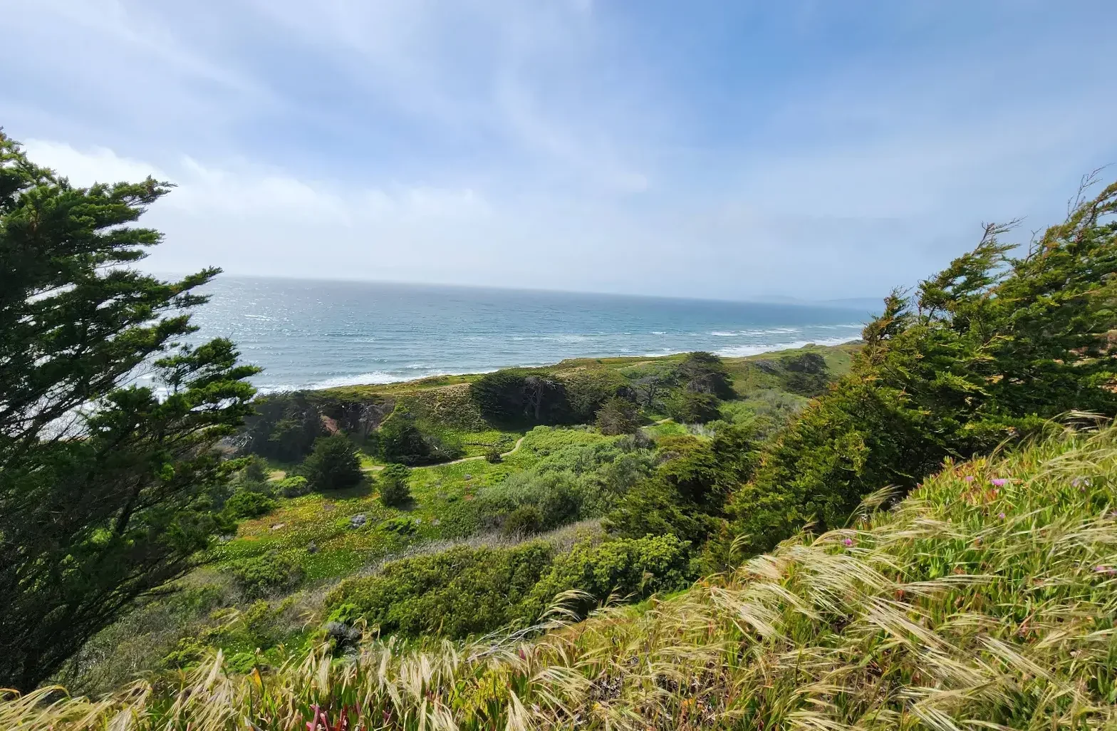 Beyond The Barrier: Dive Into Sf Bay'S Leading Solutions For Automatic Gates