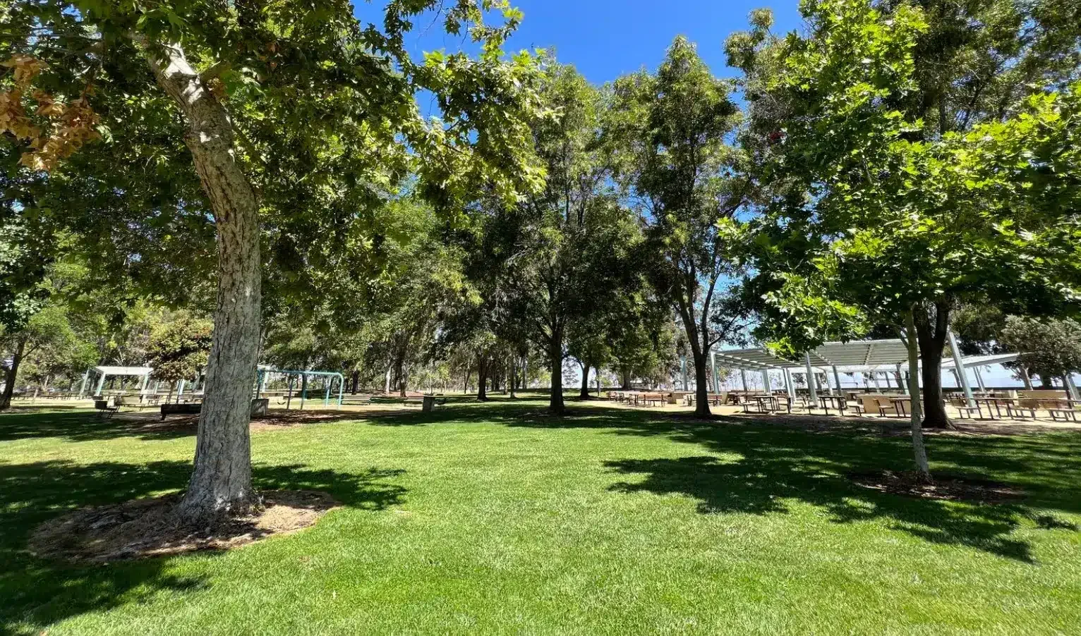 Choosing the Perfect Fence Type With Expert Contractors