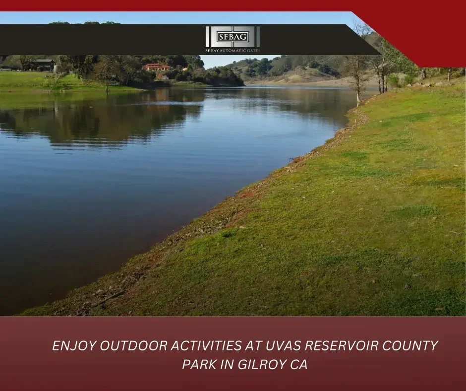 Dive into the World of Fences: Options from Contractors