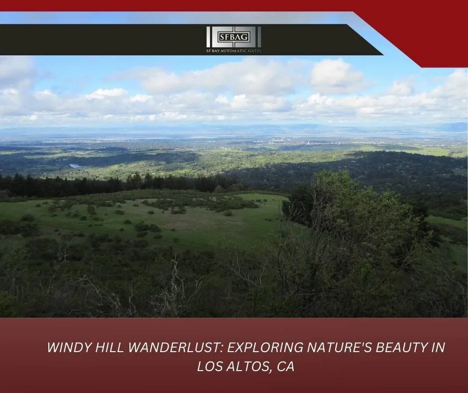 Elevate Your Property with Fencing Options from Contractors