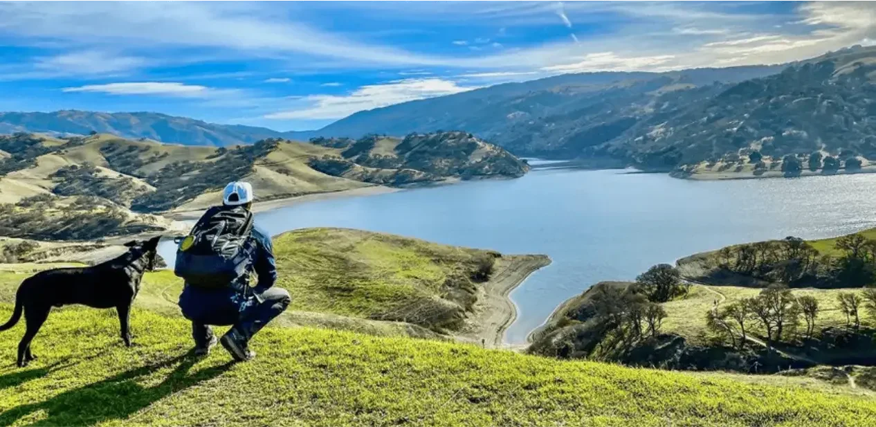 How to choose the right fencing for your home?