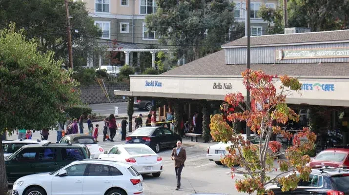 How to Maintain Your Automatic Gate Efficaciously