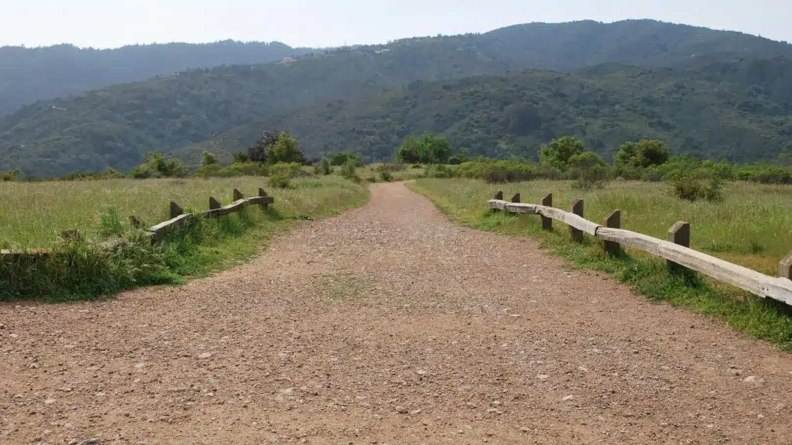 Maintenance Tips for Keeping Your Driveway Gate in Top Condition