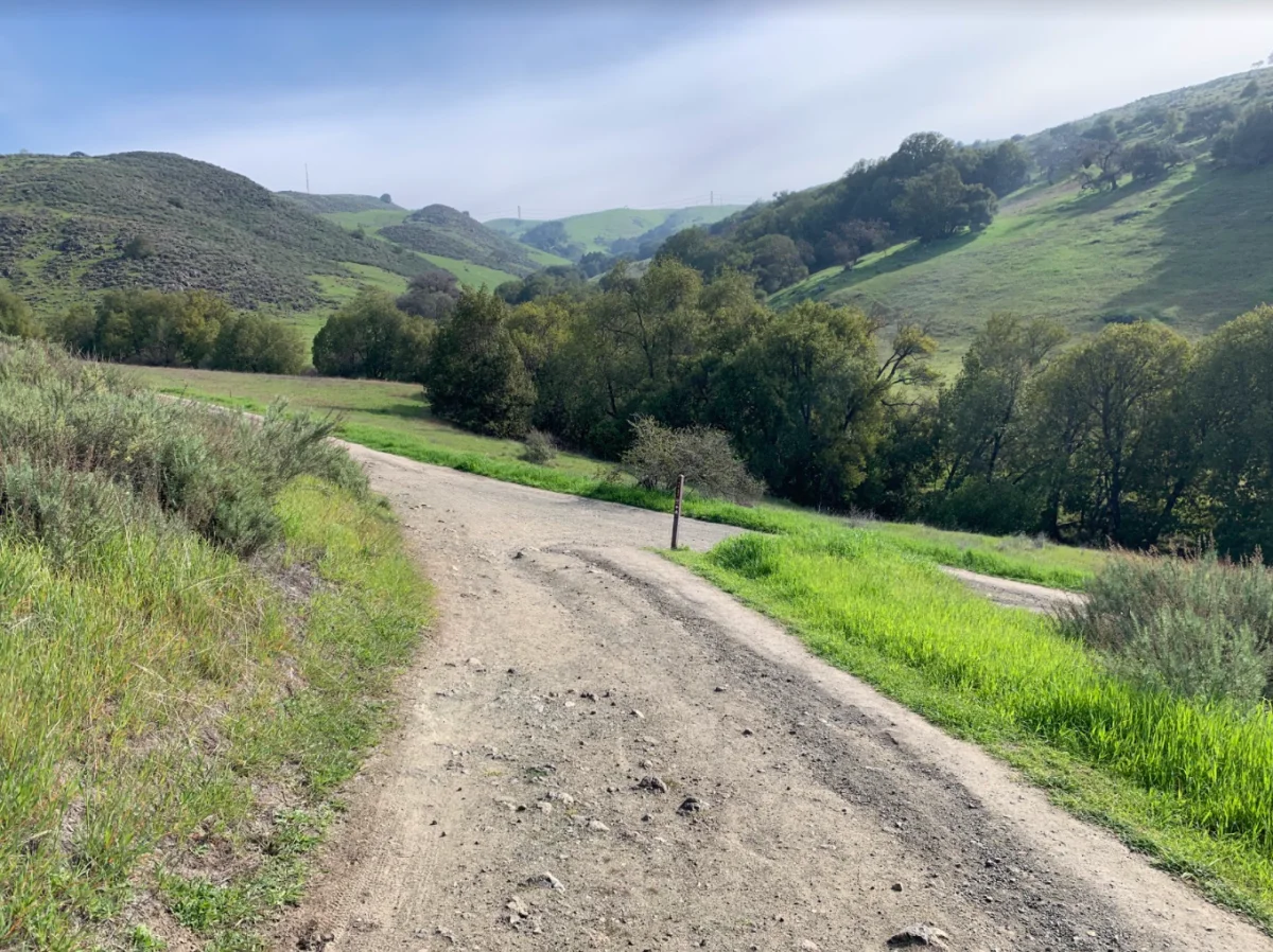 Maximizing Space with Sliding Driveway Gates